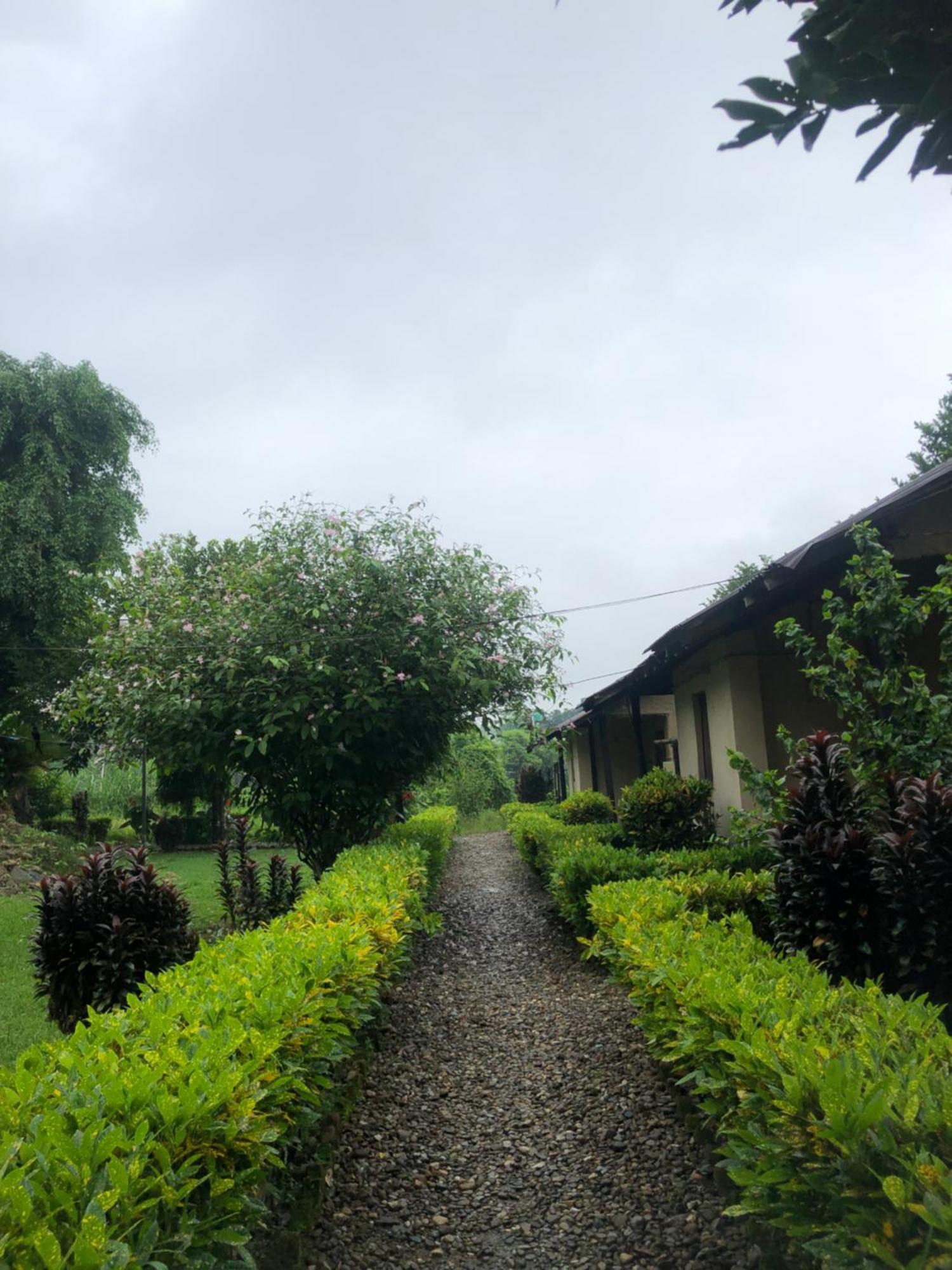 Hotel Tharu Garden, Sauraha Exterior foto